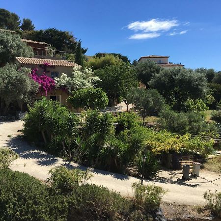 Les Terrasses Sur Mer Ollioules Exteriör bild
