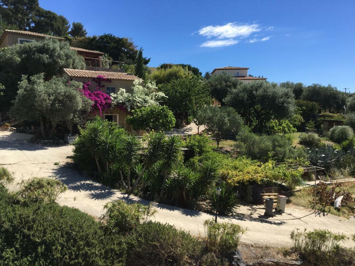 Les Terrasses Sur Mer Ollioules Exteriör bild