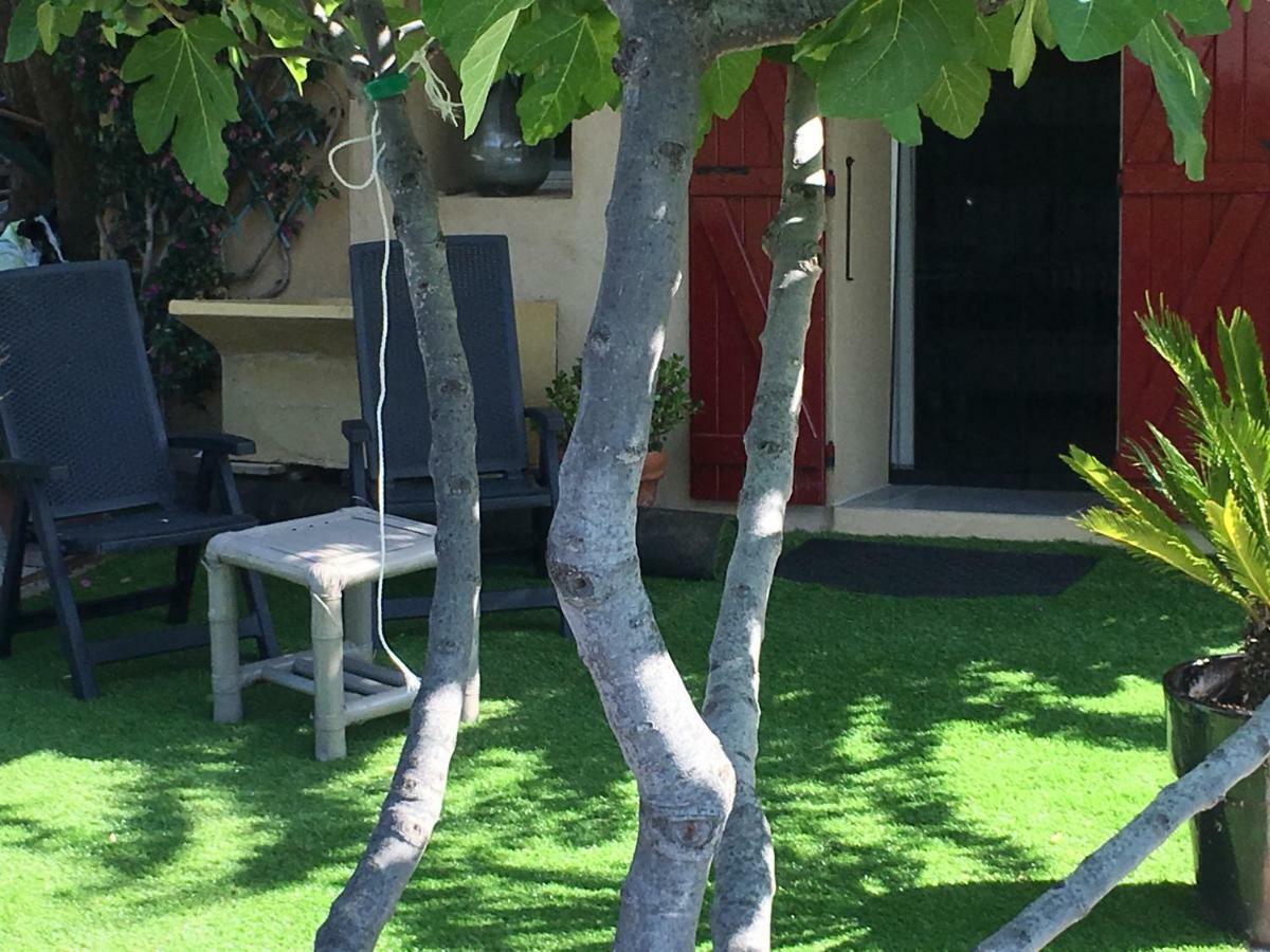 Les Terrasses Sur Mer Ollioules Exteriör bild